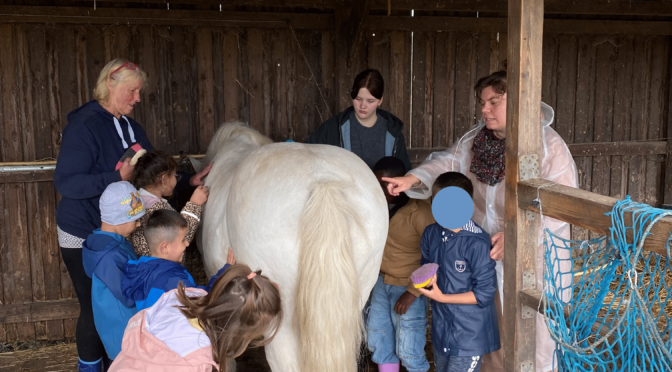 Klasse des Monats: Reiten mit den Glockenblumen